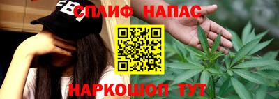 a pvp Новозыбков