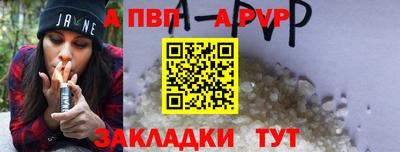 a pvp Новозыбков