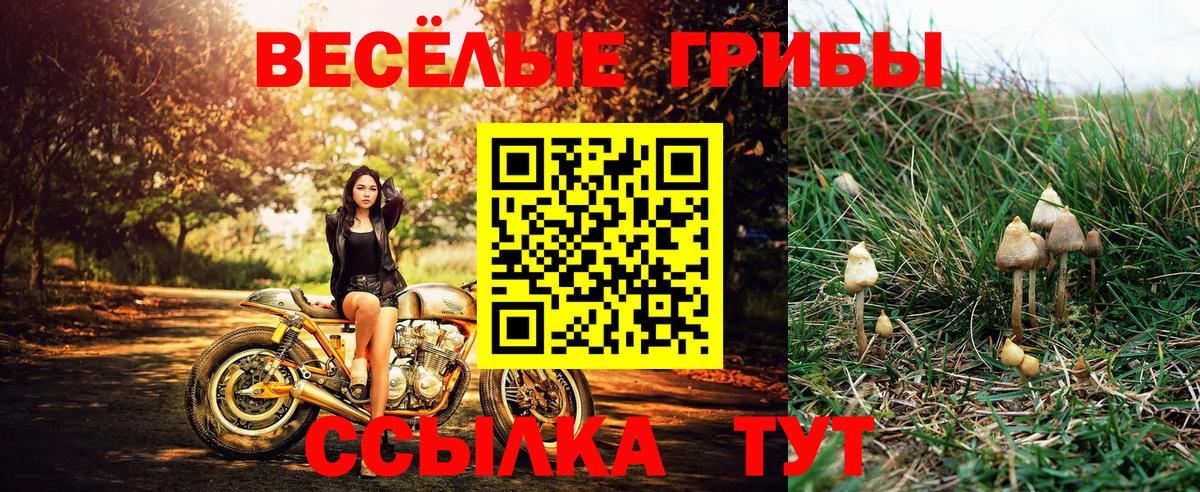 Псилоцибиновые грибы ЛСД Шахты